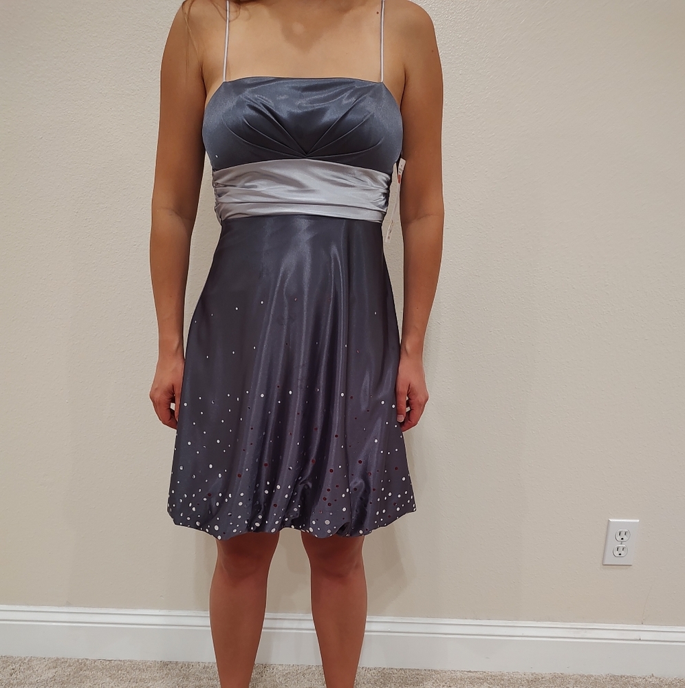 Shiny Silver Dress